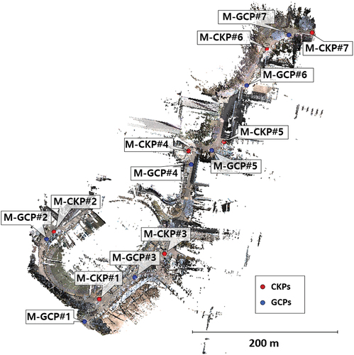 Figure 5. MMS point cloud and distribution of the GCPs and CKPs.