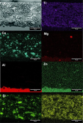 Figure 7. SEM-EDS images of CF Variant 15 with Catalyst Mod 1.