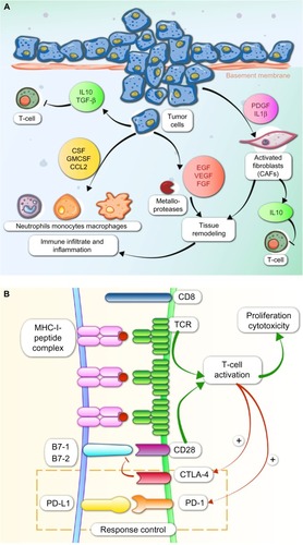 Figure 1 Major immunological processes involved in cancer.