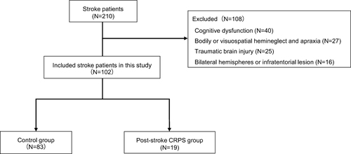 Figure 1 Flow chart of participants through the study. After the classification process, a total of 102 patients were finally included in the study, of which 19 and 83 patients were assigned to the post-stroke CRPS and control group, respectively.