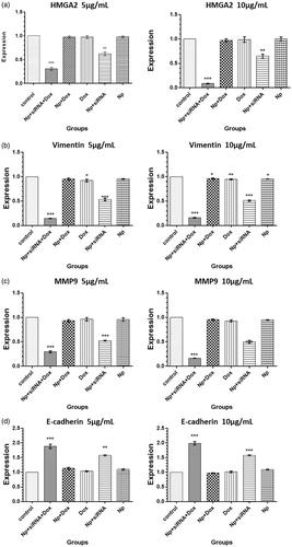 Figure 6. (a) HMGA2, (b) Vimentin, (c) MMP9, (d) E-cadherin expression in MDA-MB-231 cells following treatment with different medicinal categories.