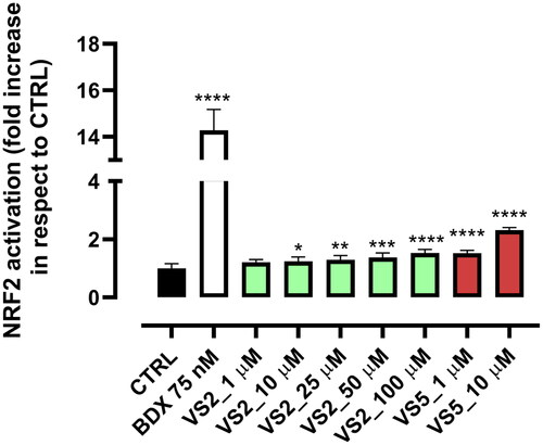 Figure 7. Dose-dependent effect of compounds VS2 and VS5 on NRF2 nuclear translocation. Statistical analysis was calculated by one-way ANOVA with Bonferroni’s multiple comparison test (*p < 0.05, **p < 0.01, ***p < 0.001, ****p < 0.0001).