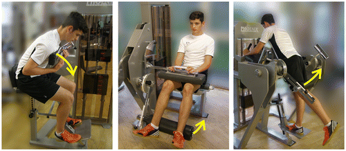Figure 3. Strength training on the machine.Note: Left: Seated crunch machine (rectus abdominis), middle: knee curl machine (biceps femoris), right: hip extension machine (gluteus maximus).