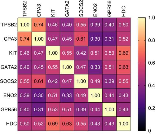 Figure 2 Correlational analysis heat map represents the correlations between MC/basophil-related gene mRNA abundance in COPD participants. Relative mRNA abundance 2−ΔCt values based on the housekeeping gene β-actin used in correlation analysis. Spearman correlation r-values reported. All correlations were significant.