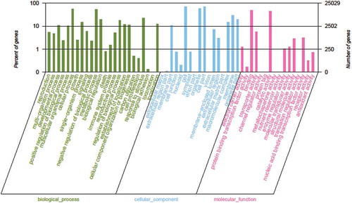 Fig. 4 (Colour online) Gene ontology classifications. The horizontal axis presents the GO term sub-categories, the left vertical axis corresponds to the proportion of genes included in the sub-categories, and the right vertical axis represents the number of genes in the sub-categories.
