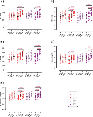 Figure 6. Effects of resistance or concurrent training in combination with high protein diets on markers of liver and kidney function. a) gamma-glutamyl transferase (GGT [(u/l)]), b) Aspartate transaminase (AST [(u/l)]), c) Alanine transaminase (ALT [(u/l)]), d) Urea (mg/dl), and e) Creatinine (mg/dl). n=11 per group, error bars represent 95% confidence interval (CI), and p-values above each time points indicate paired sample t-test results. CT1, concurrent training + 1.6 g.kg−1.d−1; CT2, concurrent training + 3.2 g.kg−1.d−1; RT1, resistance training + 1.6 g.kg−1.d−1; RT2, resistance training + 3.2 g.kg−1.d−1.