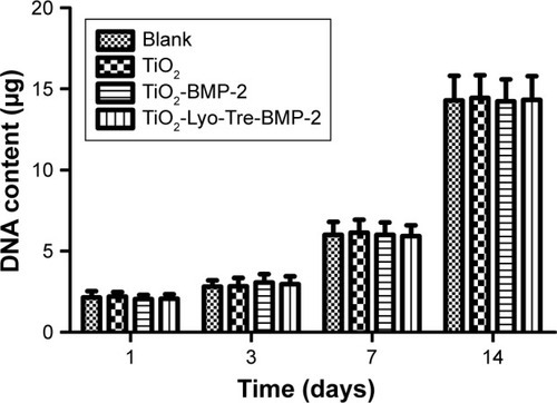 Figure 2 Effects of culture with nanotubes on the proliferation of BMSCs.Note: A DNA-based cell proliferation assay was used to analyze BMSCs cocultured with different nanotube types for 1, 3, 7, and 14 days.Abbreviations: BMSCs, bone marrow stromal cells; BMP-2, bone morphogenetic protein-2; Lyo, lyophilization; Tre, trehalose.