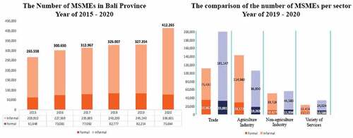 Figure 1. Profile and development of msmes in Bali province.