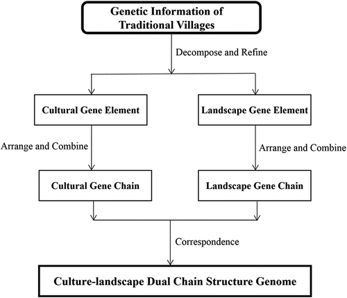 Figure 2. Analysis of the culture-landscape gene double-chain model.