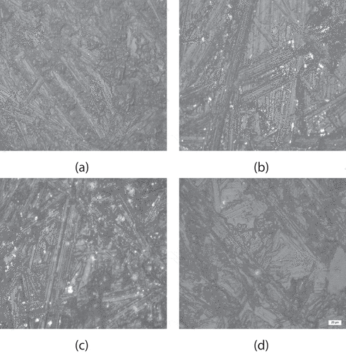 Figure 7. Microscope magnifications (200X) of the surface of rice husk (RH) laminate core with (a) 5 wt.% RH, (b) 10 wt.% RH, (c) 15 wt.% RH and (d) 20 wt.% RH