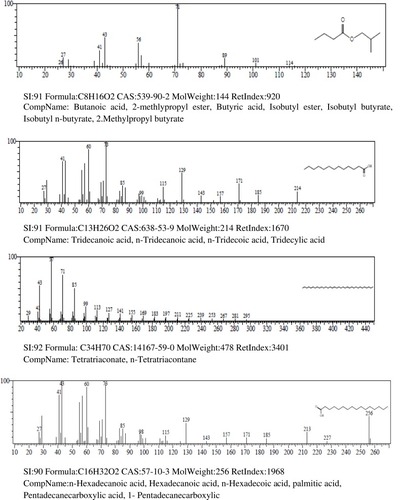 Figure 4 Continued.