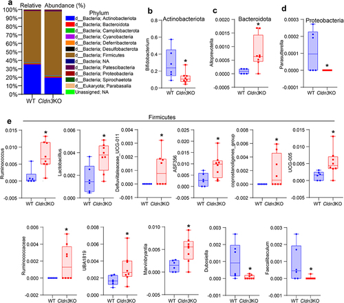 Figure 6. Relative abundance of bacterial communities in Cldn3KO differ from WT.