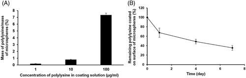 Figure 9. (A) The effect of polylysine concentration in coating solutions on coating degree of polylysine on surface of porous PLGA microspheres and (B) the stability of the polylysine coating on surface of the microspheres evaluated for seven days. The coating degree of polylysine was denoted as mass of polylysine coated on the surface of the microspheres per mass of the microspheres.