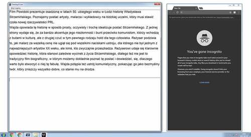 Figure 1. Experimental setup with Translog-II and Google Chrome