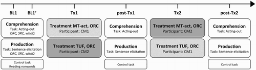 Figure 2. Timeline of the crossover treatment study, outline of tasks applied during assessments and sequencing of treatment phases. BL1/BL1’ = pre-treatment baseline assessments, post-Tx1/Tx2 = post-treatment assessments, Tx = treatment phase, ORC = object relative clauses, SRC = subject relative clauses, whoQ = who-questions.