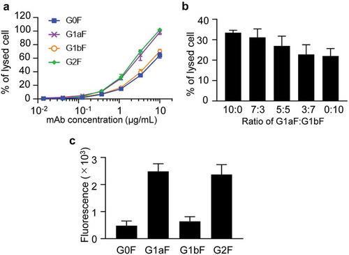 Figure 4. CDC and C1q-binding activities of glycoengineered anti-CD20 mAbs. (a, b) CDC activities of glycoengineered anti-CD20 mAbs. Raji cells were incubated with 16% human serum and were serially diluted with glycoengineered anti-CD20 mAbs. (a) Percentages of cell lysis plotted against mAb concentrations. (b) CDC activity of 1 µg/ml of G1aF mAb and G1bF mAb mixtures in different ratios. (c) C1q binding of glycoengineered anti-CD20 mAbs. Raji cells were opsonized with anti-CD20 mAbs and incubated with human serum. The cells were stained with FITC-conjugated anti-C1q antibody and the C1q-binding level was analyzed by flow cytometer. Data are presented as mean ± SD (n = 3).