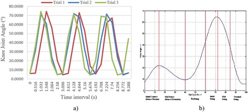 Figure 12. Angle of knee joint at different points of time during the gait cycle (a) experimental data, (b) real gait cycle (Nandy et al., Citation2012)