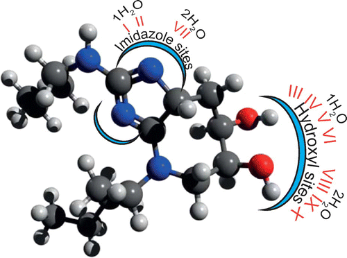 Figure 1. An illustration of glucosepane depicting the imidazole region and hydroxyl groups. Each glucosepane–water bound complex label along with the respective number of explicit water molecules is also included.