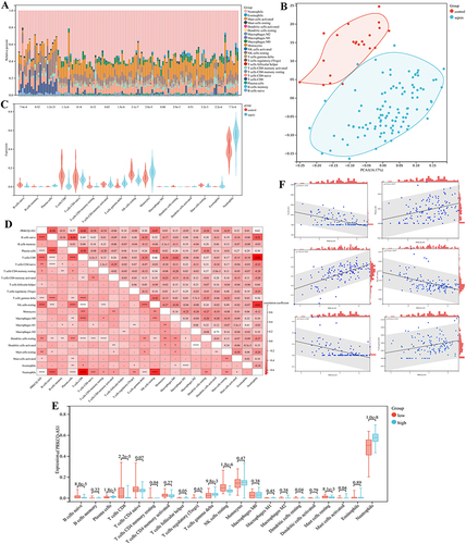 Figure 5 Immune cell infiltration and correlational analysis. (A) Barplot shows the proportion of 22 immune cells in sepsis samples. (B) PCA analysis of immune infiltration background dataset. (C) Immune cells are expressed at different group of sepsis (sepsis vs control) as violin chart. Turquoise is the sepsis group, and red is the control group. (D) The correlation heat map of 22 kinds of infiltrated immune cells and PRKCQ-AS1 expression. Light red means positive correlation, and red means negative correlation. ****p <0.0001, ***p <0.001, ** p<0.01, *p<0.05 (E) Immune cells are expressed at different levels of PRKCQ-AS1 (low vs high) as box diagram. Turquoise is the low expression group, and red is the low expression group. (F) The correlation of infiltrated immune cells (Plasma cells, T cells gamma delta, NK cells resting, T cells CD8, B cells native and Neutrophils) and PRKCQ-AS1 expression.