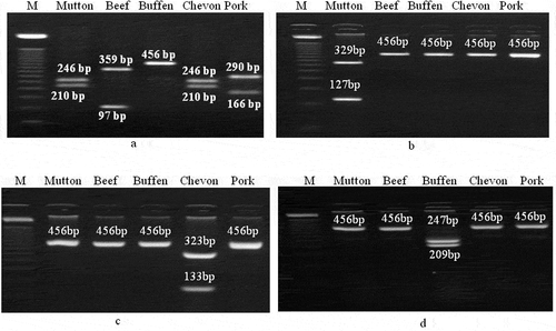 Figure 2. RFLP of 456bp fragment of mitochondrial 12S rRNA gene for differentiation of meat from different species of animals. Digestion pattern of 456bp DNA fragments of different species by a) AluI, b) ApoI, c) BspTI, and d) HhaI. Different fragment sizes are indicated in the figure. Lane M: DNA marker