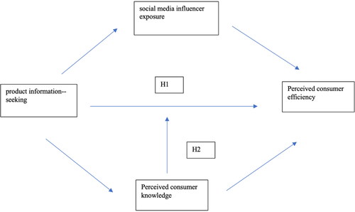 Figure 1. Hypothesized model.