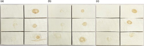 Figure 1. Treated (left) and untreated reference (right) specimens after accelerated aging: (a) treatment A, (b) treatment B, and (c) treatment C.