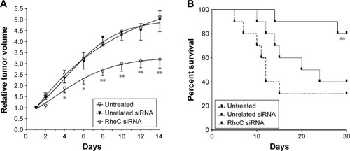 Figure 4 Antitumor effects of anti-RhoC siRNA in vivo.