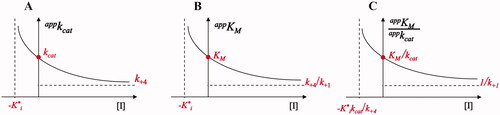 Figure 3. Incomplete uncompetitive inhibition. (Panel A) represents the dependence of appkcat on the increase of [I] according to EquationEquation (2)(2) kcatapp=Ki*k+2+k+4[I]Ki*+[I] (2) ; (Panel B) represents the dependence of appkM on the increase of [I] according to EquationEquation (3)(3) KMapp=Ki*KM+k+4k+1[I]Ki*+[I](3) ; (Panel C) represents the dependence of appKM/appkcat on the increase of [I] according to EquationEquation (4)(4) KMappkcatapp=Ki*KM+k+4k+1[I]Ki*k+2+k+4[I](4) .
