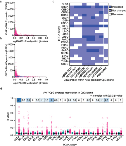 Figure 6. (a) Scatter plot and the simple linear regression trendline (blue) showing between FHIT mRNA expression (RSEM, batch normalized from Illumina HiSeq_RNASeqV2) (vertical axis) and the methylation of CpG position cg19049316 (β-value, HM27 and HM450 merge). (b) Scatter plot and the simple linear regression trendline (blue) showing between FHIT mRNA expression (RSEM, batch normalized from Illumina HiSeq_RNASeqV2) (vertical axis) and the methylation of CpG position cg24796403 (β-value, HM27 and HM450 merge). (c) Heatmap showing for each TCGA study the methylation change in tumor samples compared to matched normal tissue in the indicated CpG sites within the FHIT promoter CpG island, and the average change in the 8 CpG sites in the aggregated column. (d) Average methylation β-values of the 8 CpG probes within the FHIT promoter CpG island in matched normal (green) and tumor (magenta) samples from the indicated TCGA studies. The % of tumors with a β-value higher than 0.2 is indicated above.