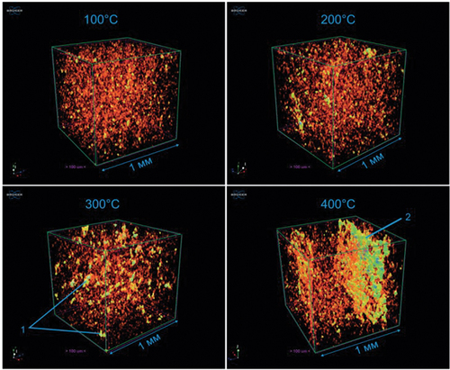 Figure 6. 3D models of the void space structure of heated samples with colour differentiation by the size of the pore channels (cubes with 1 mm edge): 1 – “nodules” of voids, 2 – crack (A. Ponomarev et al., Citation2021).