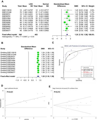 Figure 4 Comprehensive analysis of expression pattern and diagnostic value of SSR1. (A) Forest plot for evaluating SSR1 expression between Hepatocellular Carcinoma and normal tissues. (B) Sensitivity analysis of standard mean deviation (fixed effects model) based on stepwise omitting one study at a time. (C) Summary receiver operating characteristic curve of the distinguishing capability of SSR1 for tumor from normal tissues. (D and E) Analysis of the detection of publication bias in the meta-analysis of studies assessing the expression pattern of SSR1 in Hepatocellular Carcinoma.