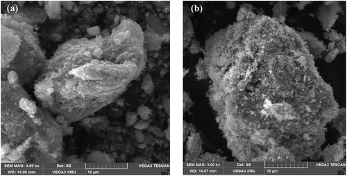 Figure 2. SEM images of (a) CuO-S60 and (b) CuO-N60