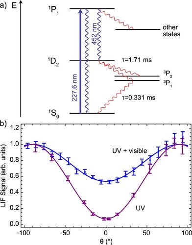 Figure 6. (a) Scheme of the relevant energy levels of calcium. (b) Polarisation dependence of fluorescence of the Ca atomic beam. The UV fluorescence, isolated with a 227-nm bandpass filter, shows strong anisotropy due to the dipole emission pattern. The combined fluorescence in the UV and visible shows reduced emission anisotropy as the visible light emission is nearly isotropic.