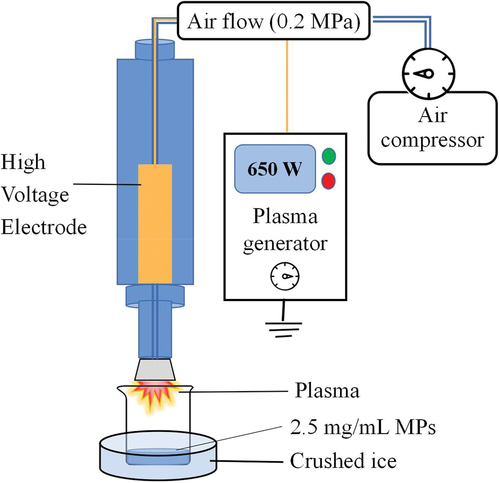 Figure 1. A schematic representation of APPJ used to treat MP extracted from Siniperca chuatsi. The equipment consists of a high-pressure generator (the power is 650 W), an air compressor, and a rotating plasma discharge nozzle.