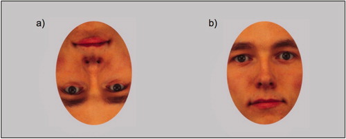 Figure 2. Example of inverted face stimuli (a) and upright face stimuli (b).