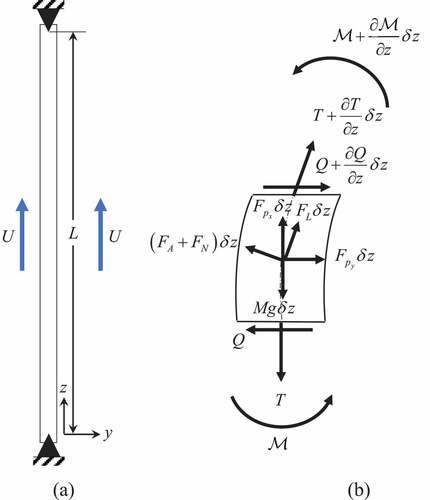 Fig. 1. Free-body diagram of a pinned-pinned cylinder.