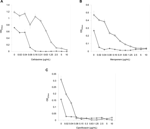 Figure 4 Doze–effect curves of antibiotics alone and in combination with FLIP7 against Escherichia coli biofilm (crystal violet assay).