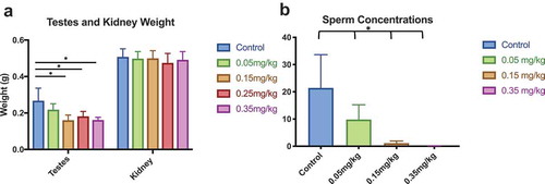 Figure 4. Testes Weight and Sperm Concentration Lower testes weight is coupled with decreased sperm concentration as DAC dose intensifies. (a) Testes weight was significantly affected between control and all doses. (b) Sperm concentration decreased as decitabine dose increased. Single stars indicate p-values<0.05, when compared to controls. Bars represent standard error. Sperm concentration is based off individual sperm count within a 40x magnification field view