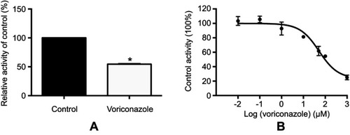 Figure 1 The effect of 100 μM VOR on IMA metabolite (CGP74588) formation (A) and various concentrations (0, 0.01, 0.1, 1, 10, 50, 100, and 1,000 μM) of VOR for IC50 (B) in RLMs. Values are Mean ± SD, n=3.