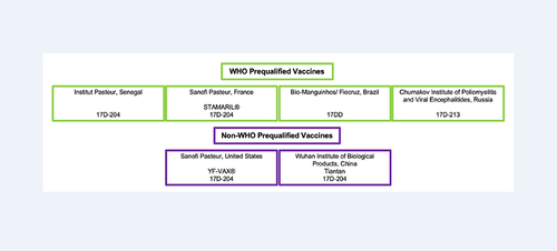 Figure 1 YF vaccines currently produced around the world. Those on top and in green boxes are WHO prequalified and are used in routine, preventive, and reactive vaccination campaigns in endemic areas. Those on the bottom and in purple are not WHO prequalified and are mostly used as travel vaccines in the country of manufacture, with limited exportation to other countries (eg, YF-VAX ® is imported and used in Canada and Japan).