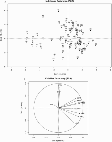 Figure 2.  Individuals and variables according to principal component analysis (PCA). Each point in A was tagged to identify individuals. Variables in B are illustrated as vectors; direction of vectors is determined by component loadings. Dim 1, principal component 1; Dim 2, principal component 2; STR: curvature of mouth; BCF: height of mouth; MTO: width of center; MPR: top vs. bottom width (height of split); AREA: distance between eyes; VSL: width of top half of face; ELONG: height of eyes; VAP: height of face; VCL: width of bottom half of face; ALH: length of nose; LIN: width of mouth; Dim: principal component.