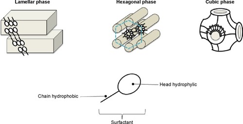 Figure 6 Schematic representation of lamellar, hexagonal, and cubic liquid crystal mesophases formed by surfactant molecules’ self-assembly.