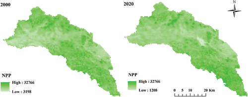 Figure 4. NPP for the year 2000 and 2020.