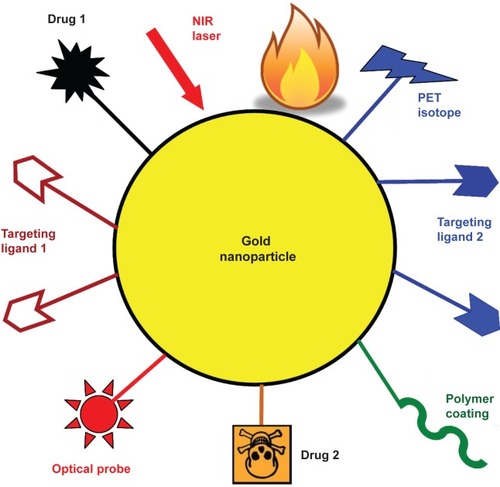 Figure 8 A multifunctional gold nanoparticle-based platform incorporating multiple receptor targeting, multimodality imaging, and multiple therapeutic entities. Not all functional moieties will be necessary and only suitably selected components are needed for each individual application.