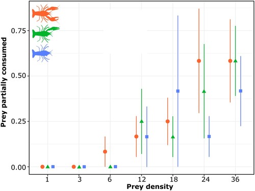 Figure 3. Rate of prey partially consumed (mean and standard error) for each prey density level (i.e., 1, 3, 6, 12, 18, 24, 36) and each tested group of crayfish. Circles represent crayfish with both claws, triangles represent crayfish with 1 claw, and squares represent clawless crayfish.