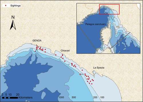 Figure 1. Study area. Red dots indicate the areas where the sightings of the bottlenose dolphins occurred during the two field seasons