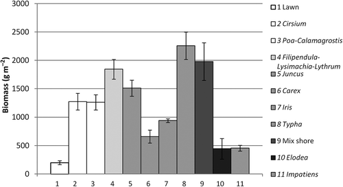 Figure 4. Biomass (g m−2) at the established urban wetlands reached up to 10-fold the values of nearby lawn. Columns 2–10 represent Gateway wetland vegetation patch types presented in Figure 3 and Table 2. Lawn and Impatiens were collected at sites upstream from the Niittu wetland.