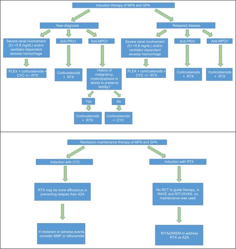 Figure 1 Treatment algorithm for AAV.