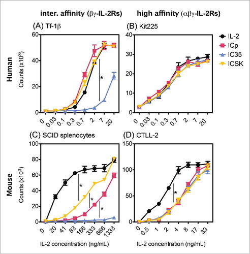 Figure 5. The “superkine” molecules within ICSK rescue the ability to elicit proliferation through βγ-IL2Rs. Comparison of IC35 and ICSK induced proliferation on: (A) Tf-1β, (B) Kit225, (C) SCID splenocytes, and (D) CTLL-2. Cells were stimulated with increasing concentrations of IL2, ICp, ICSK, or IC35 and cultured for 72 h at 37°C. The counts were determined by [3H]TdR incorporation by proliferating cells. Error bars indicate the SD of triplicate samples. Data are representative of six–eight separate experiments. Statistical differences of biological significance are represented with an asterisk *p-value = <0.001. Bold font: These values are similar when compared to one another.