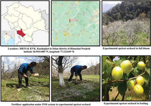 Figure 1. The experimental apricot orchard under the INM system and its geographical location.